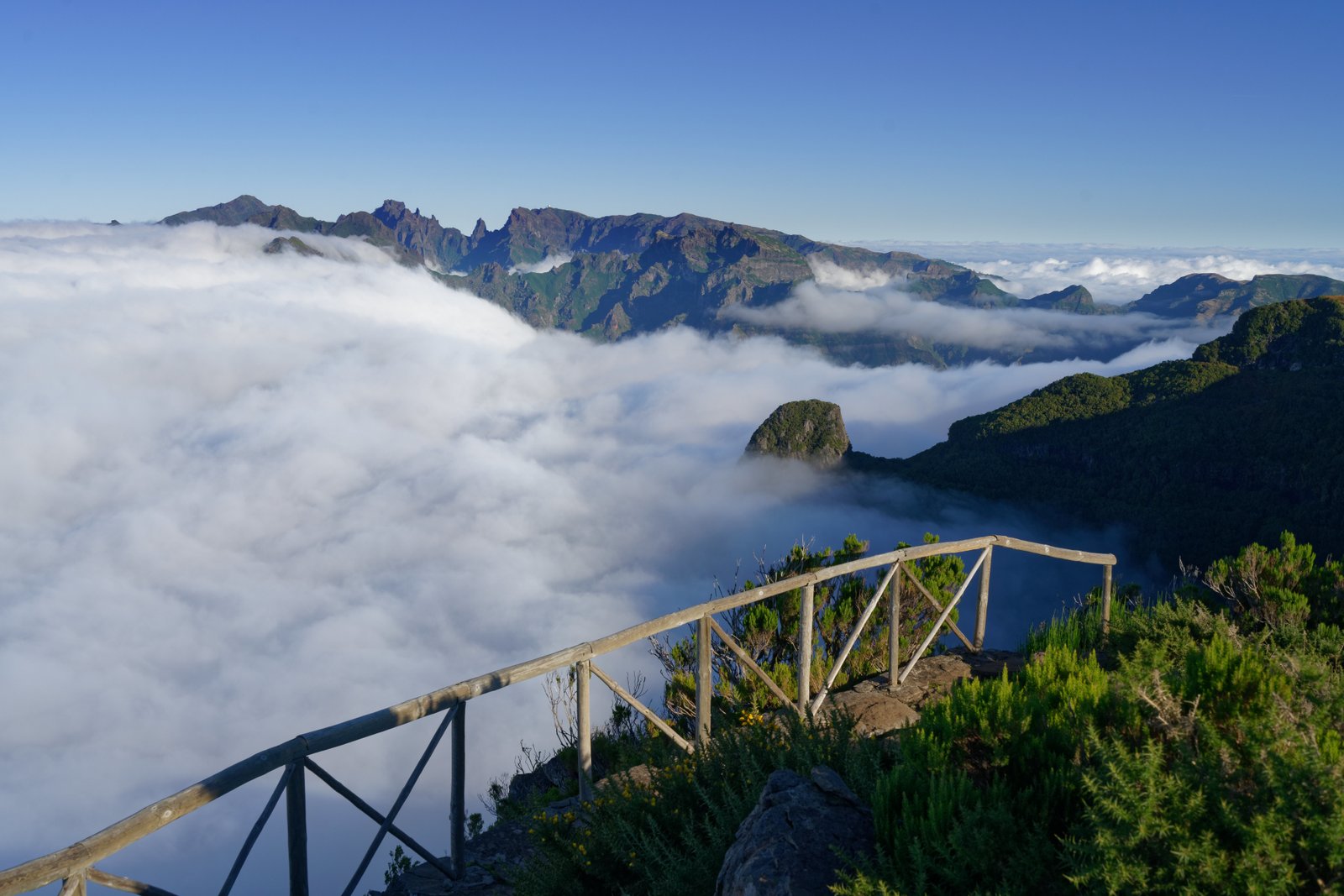 Viewpoint Trail